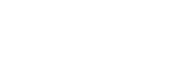 light logo